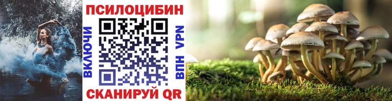 Псилоцибиновые грибы мухоморы Буй